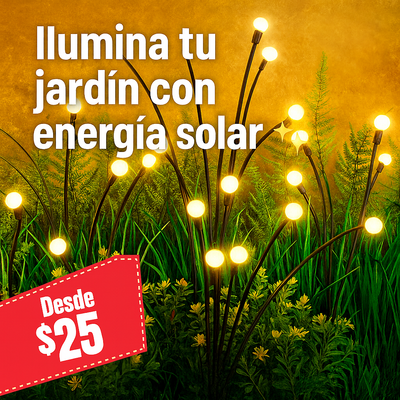 Luces decorativas Solares ⭐⭐⭐⭐⭐