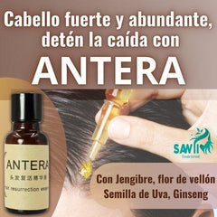 Tónico capilar antera - Envío Gratis