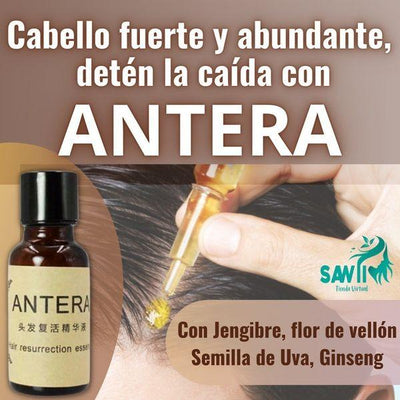 Tónico capilar antera - Envío Gratis